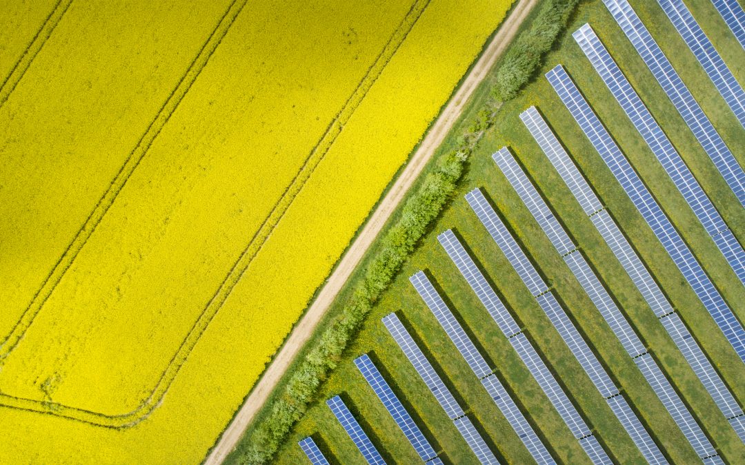 CANTERBURY GREEN-LIGHT BRITTON COURT SOLAR FARM SECURING ENERGY FOR 15,000 HOMES