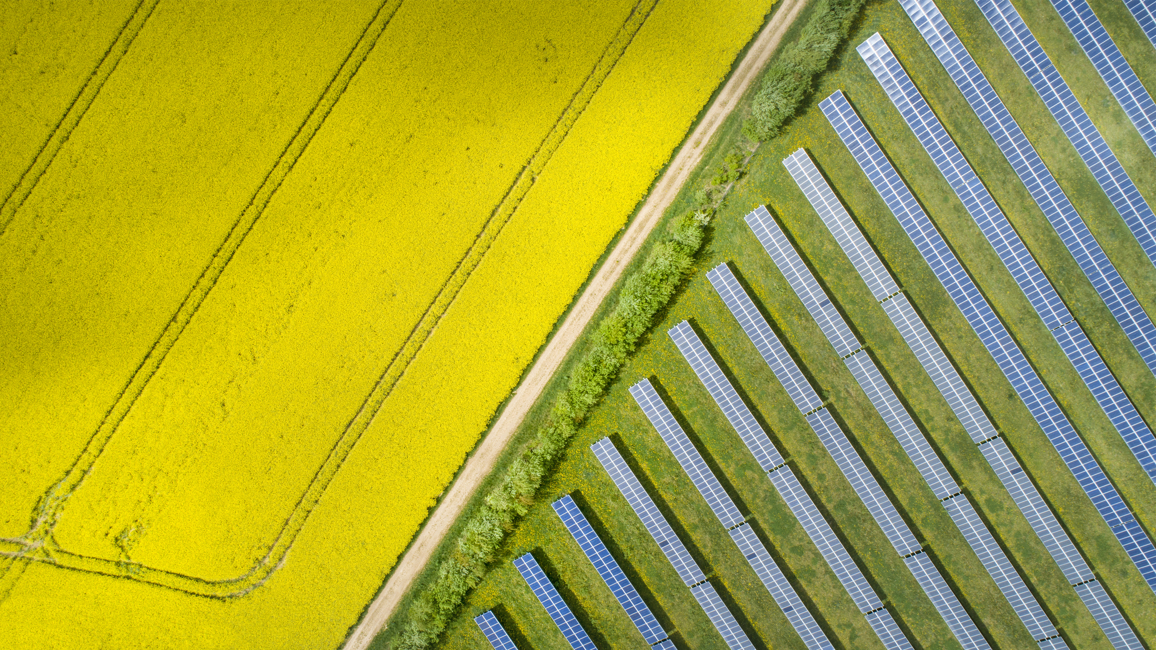 CANTERBURY GREEN-LIGHT BRITTON COURT SOLAR FARM SECURING ENERGY FOR 15,000 HOMES