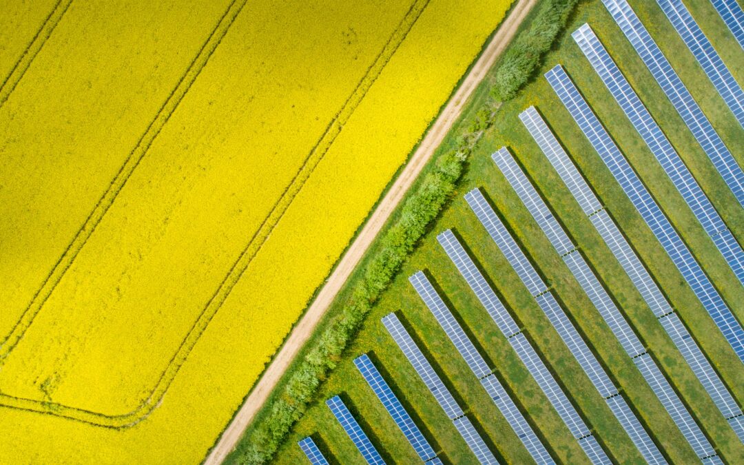 PLANNING INSPECTOR APPROVES MANOR SOLAR FARM FOLLOWING APPEAL