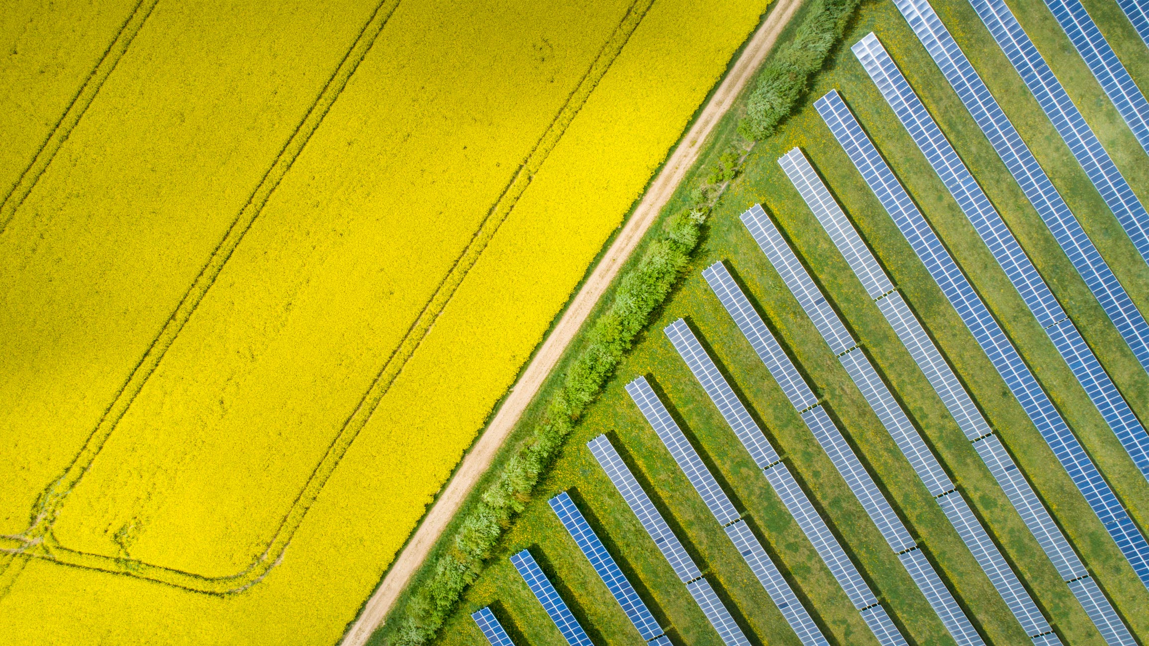 PLANNING INSPECTOR APPROVES MANOR SOLAR FARM FOLLOWING APPEAL
